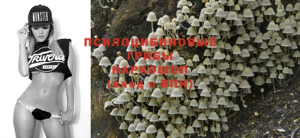 мдпв Алзамай